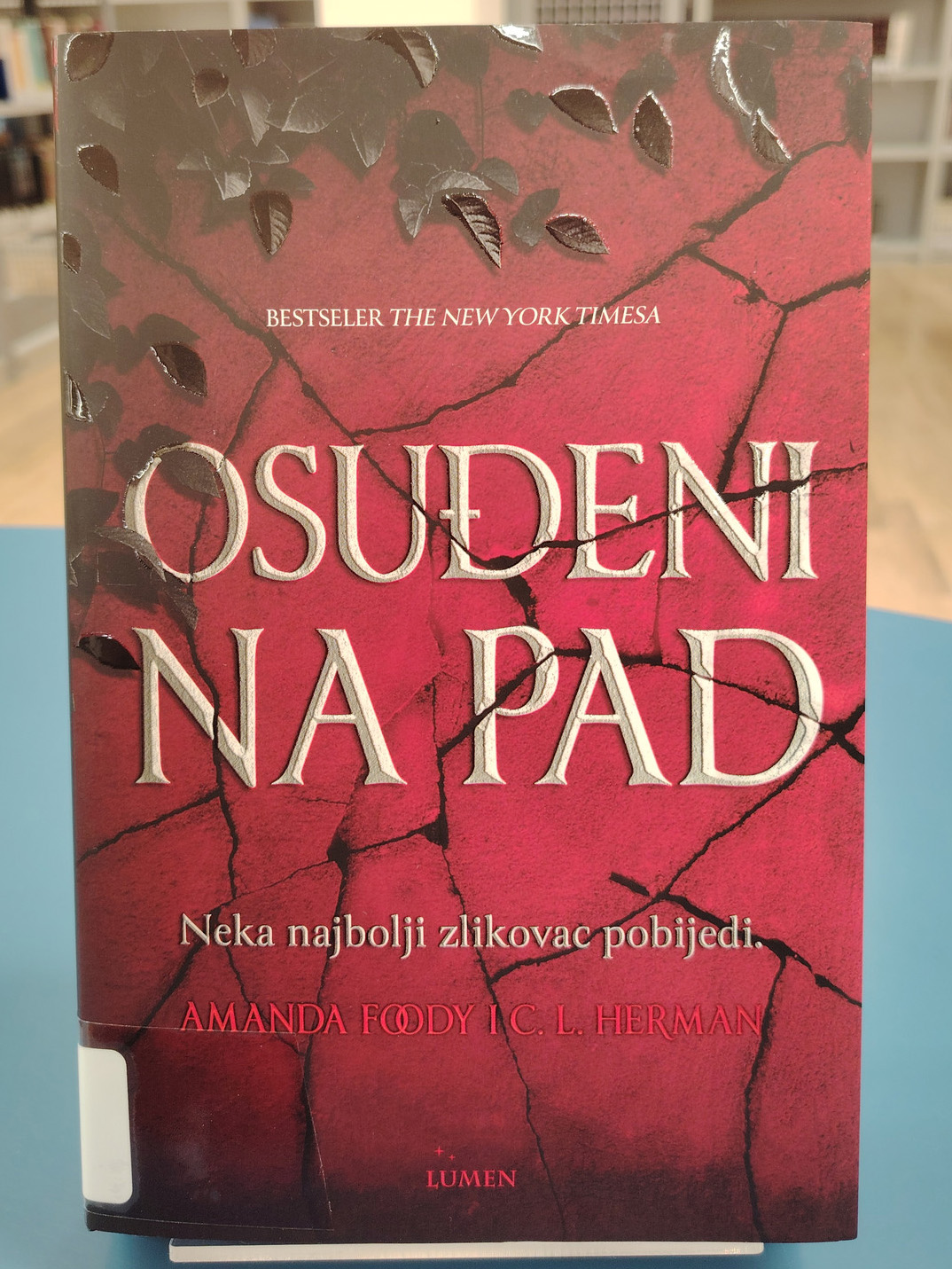 Amanda Foody i Christine Lynn Herman - Osuđeni na pad