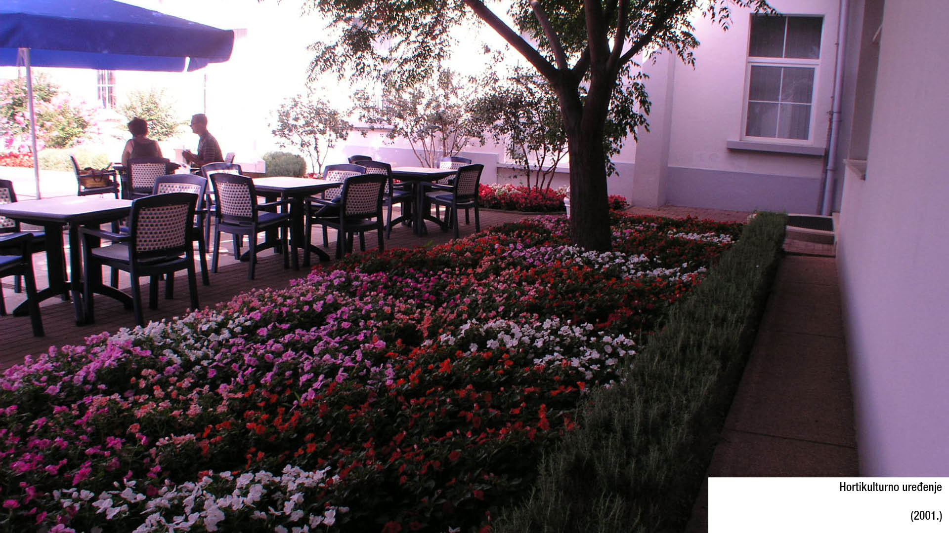 Hortikulturno uređenje (2001.)