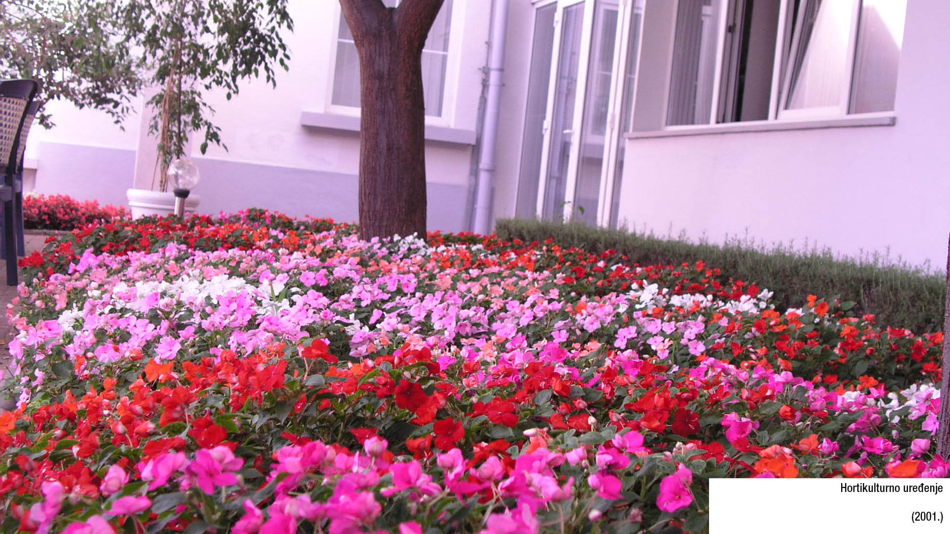 Hortikulturno uređenje (2001.)