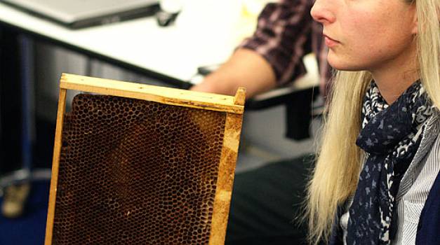 Tehnologija pčelarenja