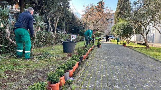 (pred)proljetno uređenje okoliša Knjižnice 2026.