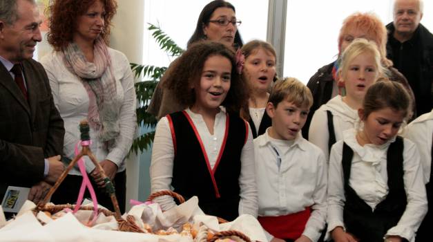 Velebite, ljubin tvoje stine