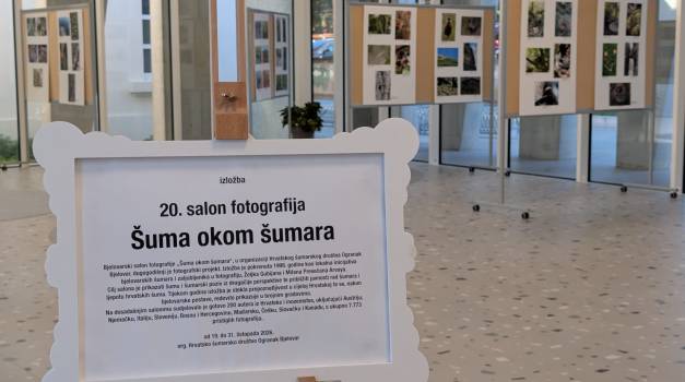 Izlozba „20. salon fotografija Suma okom sumara“