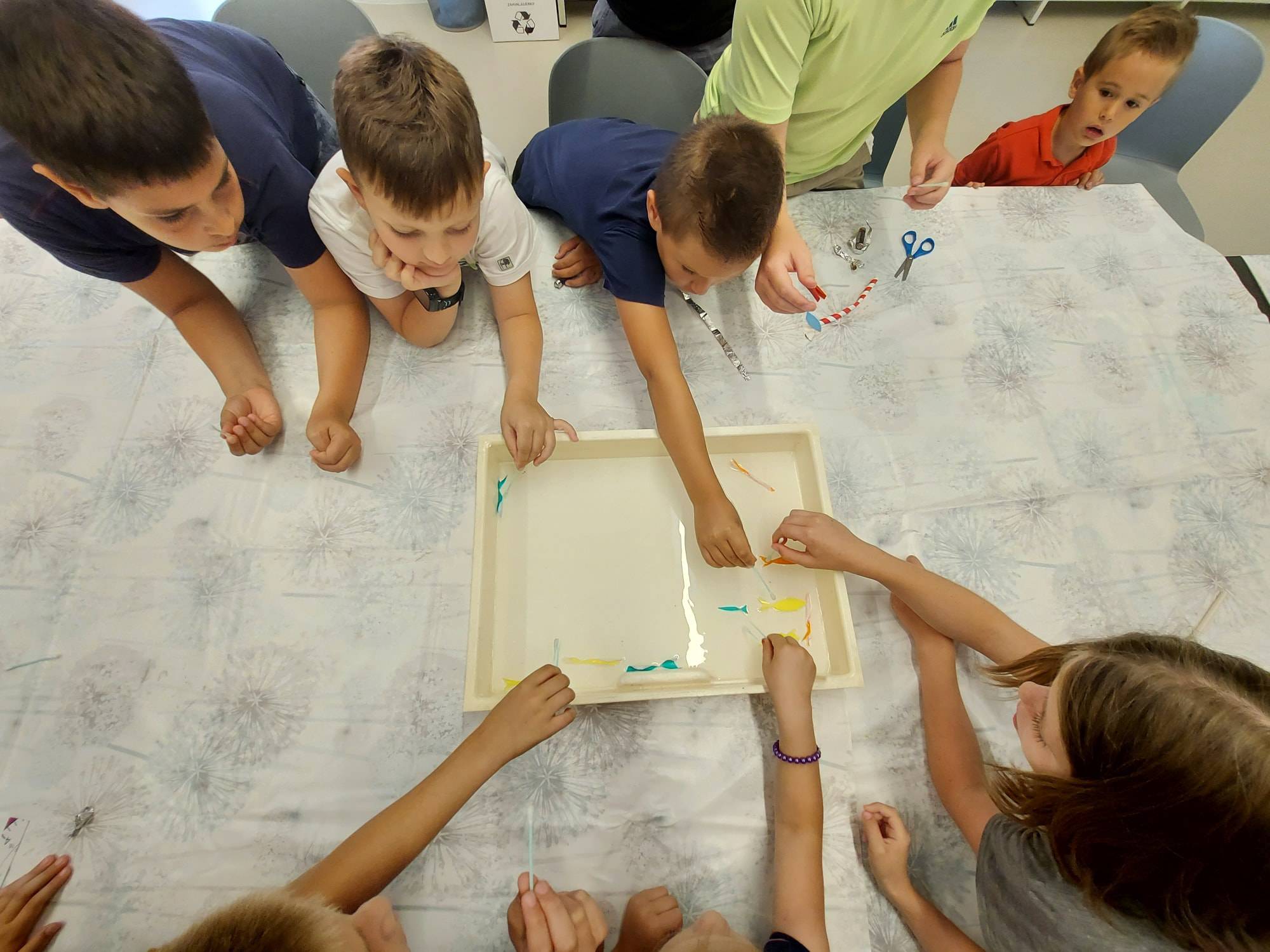 Mali znanstvenici u Ogranku Grad Mali znanstvenici u Ogranku Grad