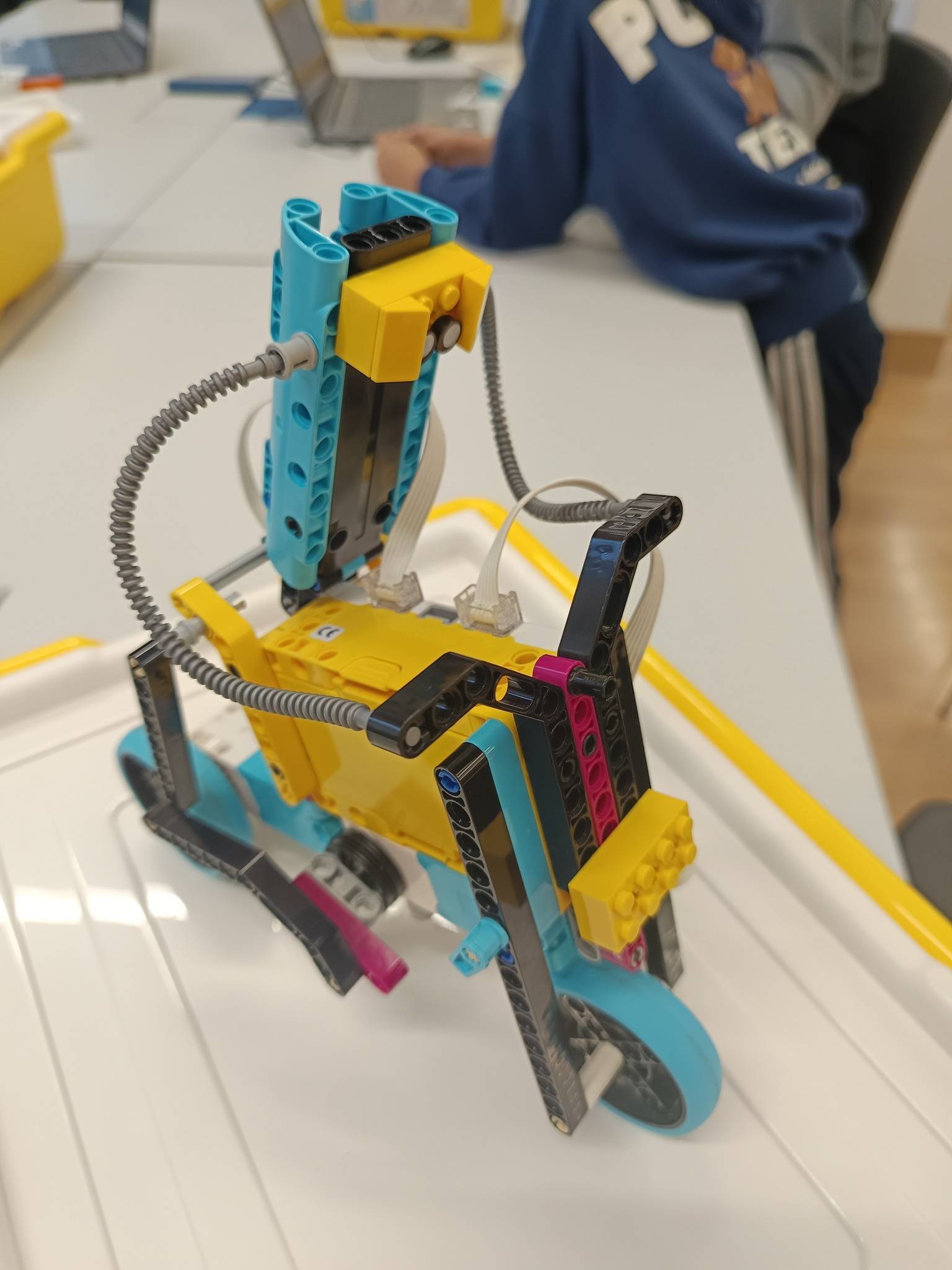 STEAM tjedan u Gradskoj knjiznici Zadar