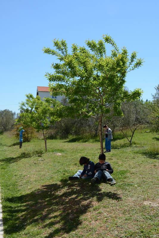 iPad foto radionica - Neviđane 