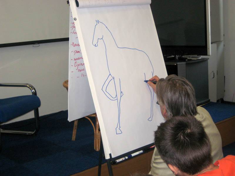 Zadar čita: susret s Ivanom Vitezom (Dječji odjel)