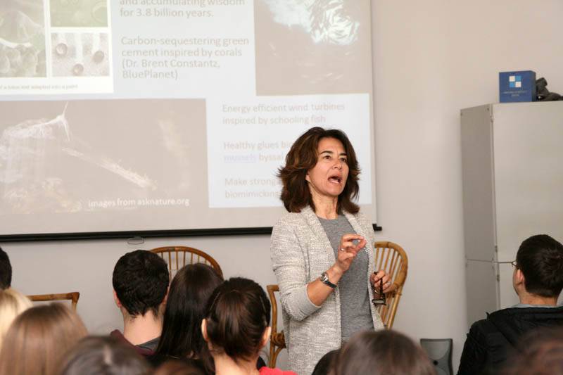 Znanje iz prirode - biomimikrija