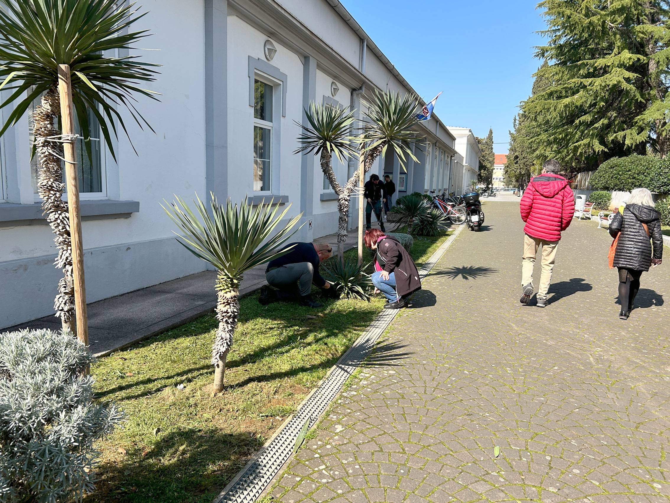 (pred)proljetno uređenje okoliša Knjižnice 2026.