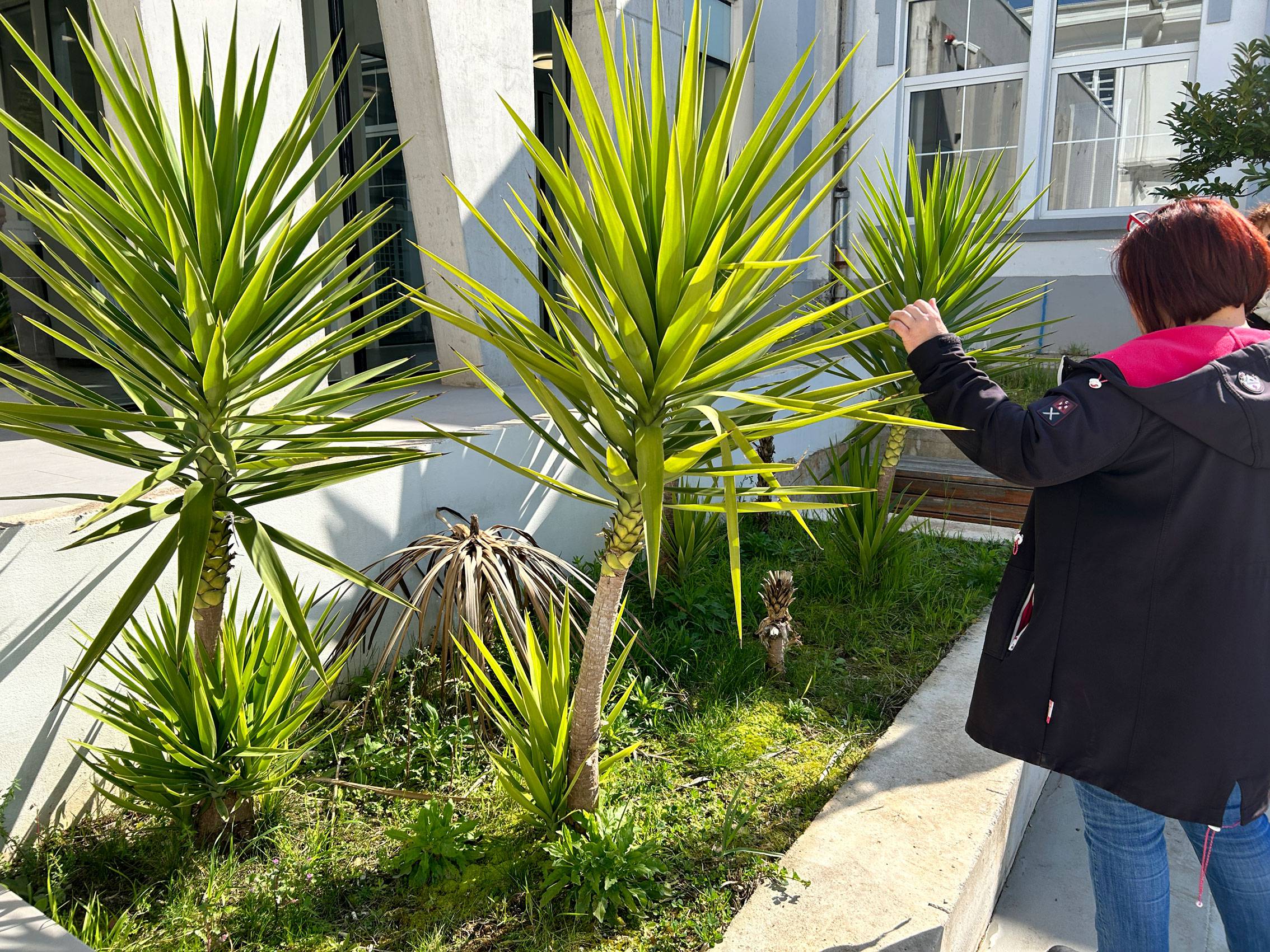 (pred)proljetno uređenje okoliša Knjižnice 2026.