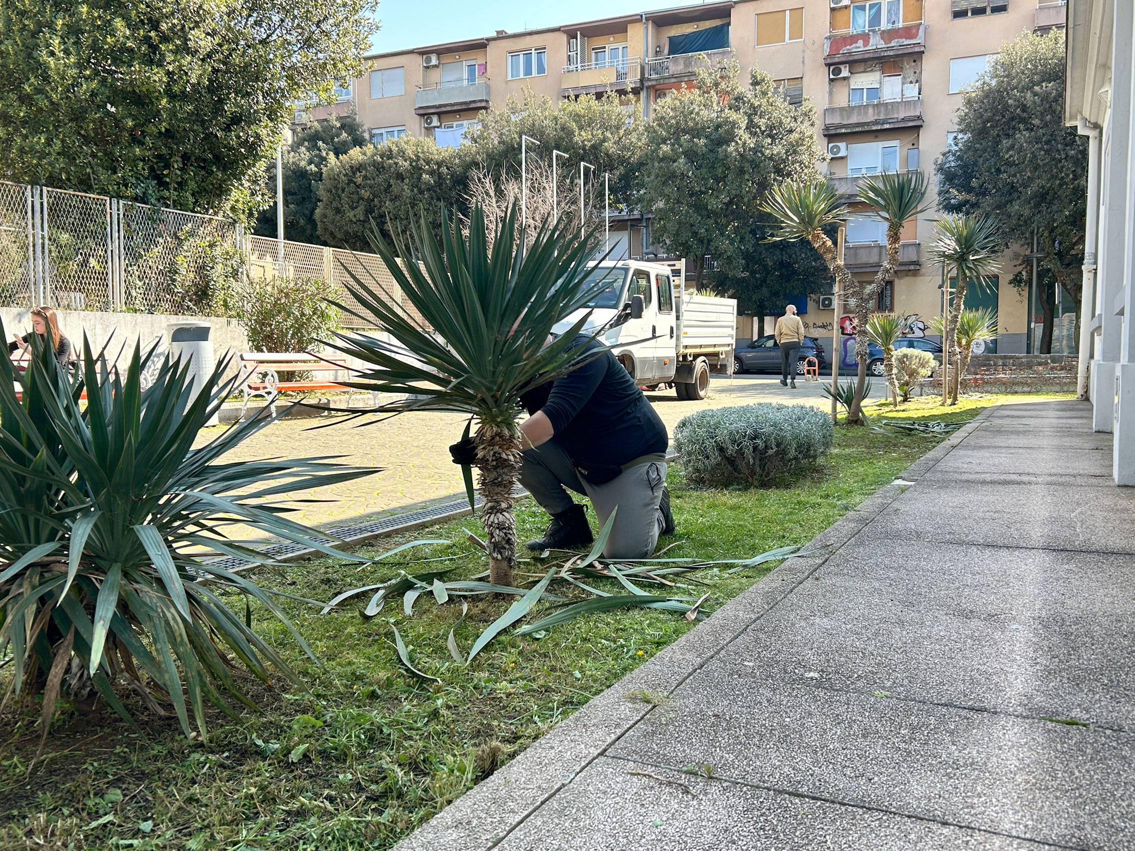 (pred)proljetno uređenje okoliša Knjižnice 2026.