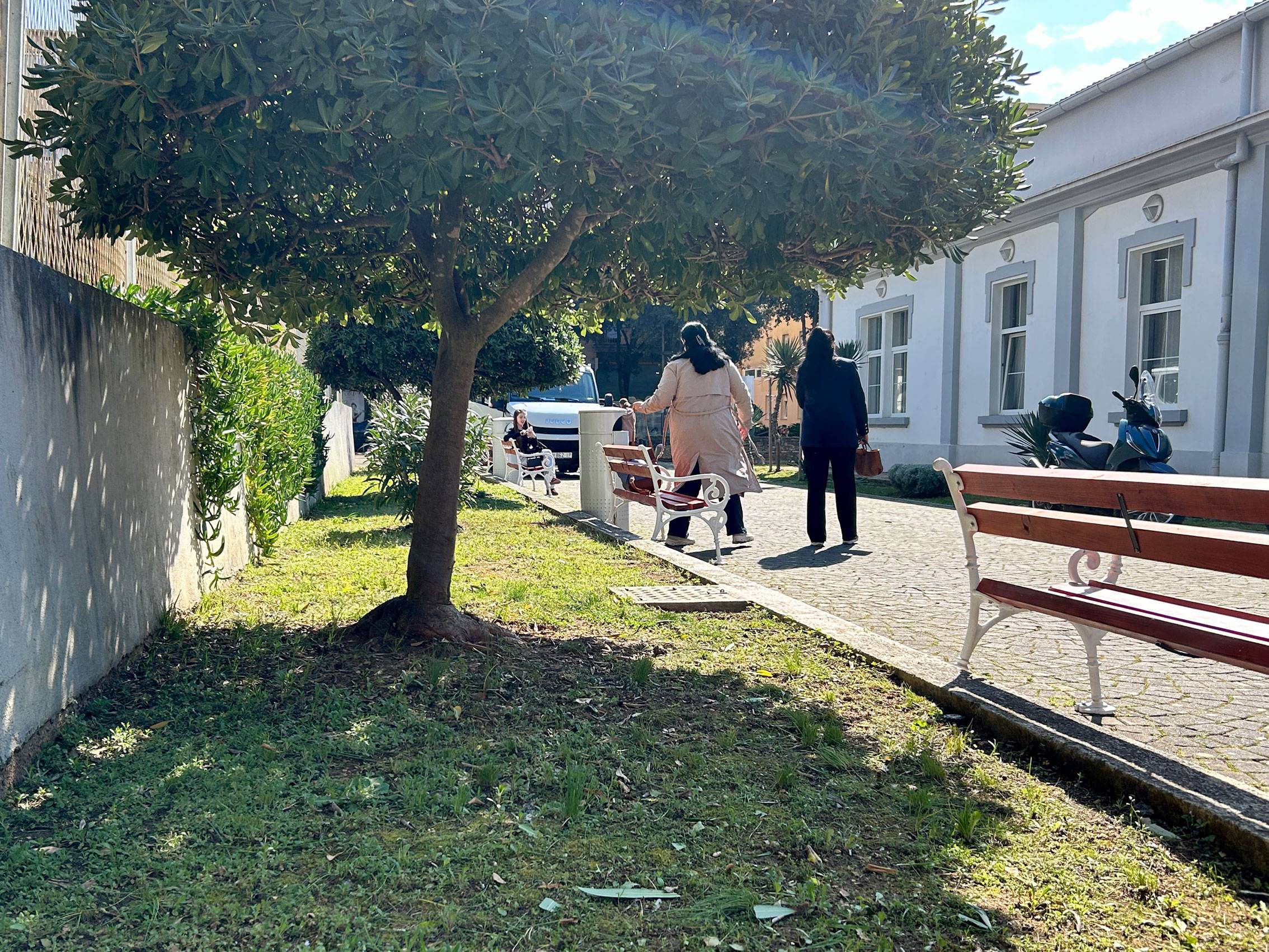 (pred)proljetno uređenje okoliša Knjižnice 2026.