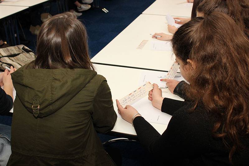 Živopisni životopis 