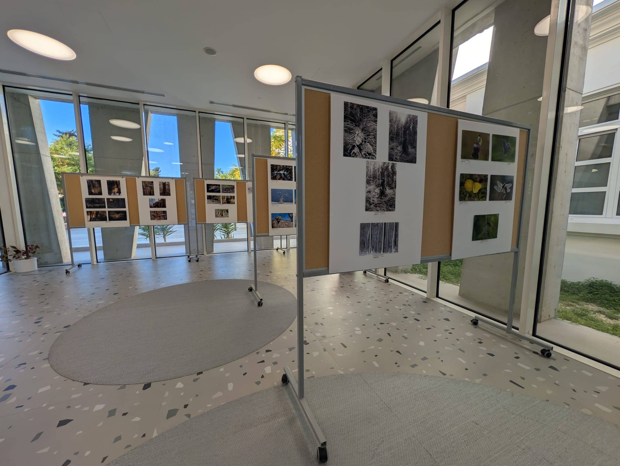 Izlozba „20. salon fotografija Suma okom sumara“