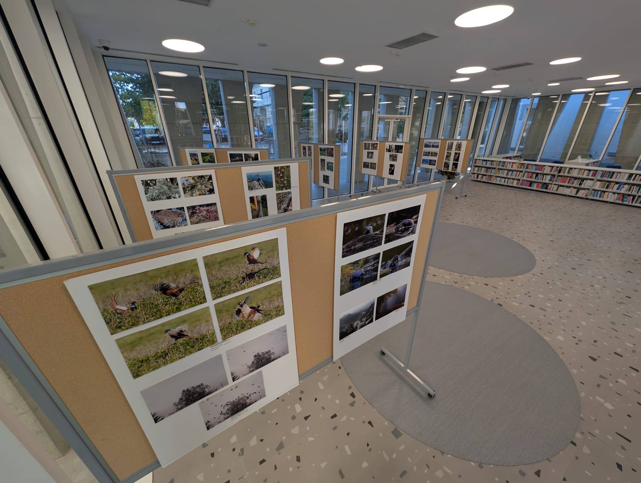 Izlozba „20. salon fotografija Suma okom sumara“