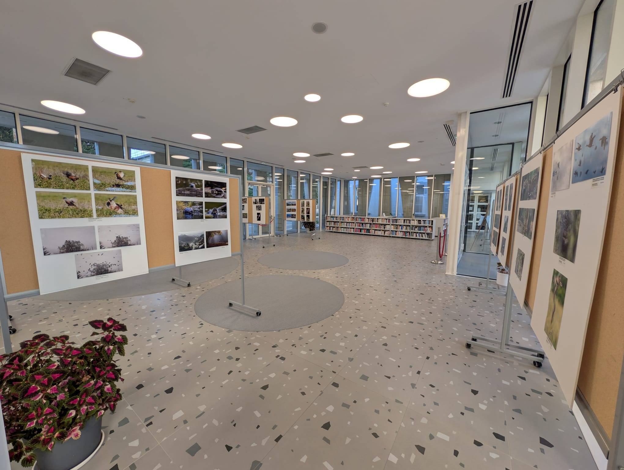 Izlozba „20. salon fotografija Suma okom sumara“