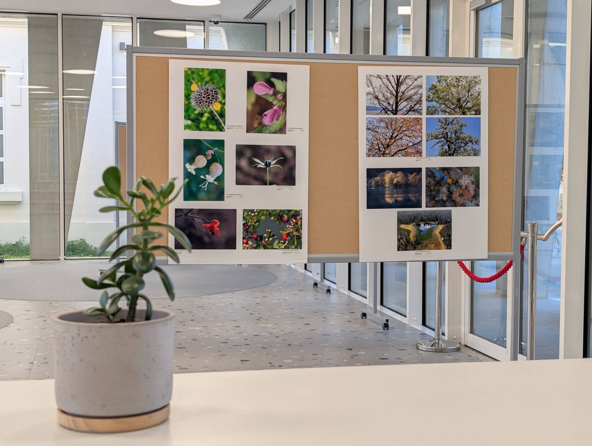 Izlozba „20. salon fotografija Suma okom sumara“