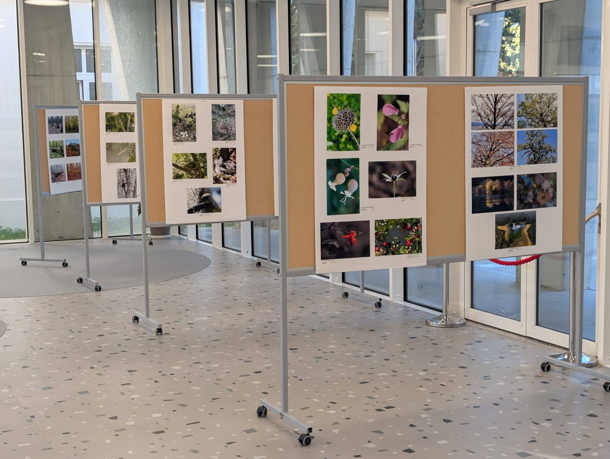 Izlozba „20. salon fotografija Suma okom sumara“
