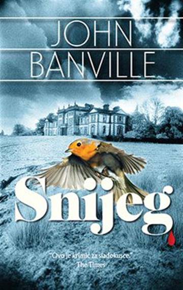 John Banville - Snijeg