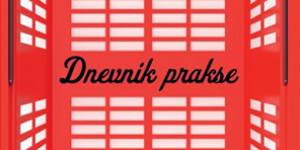 Nebojsa Lujanovic: "Dnevnik prakse"